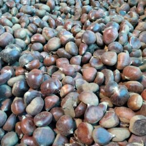 Castañas 500 g.